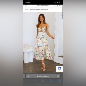 Hello Molly Midi Satin Floral Dress